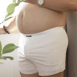 Underpants Men's Cotton Boxer Briefs Sexy Lingerie Plus Size Large Chubby Shorts Anti Wear Leg Running Fitness Underwear