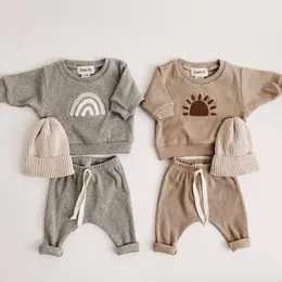 Kläder sätter vårens höst baby pojke flickor kläder bomullsflicka kläder sätter långsleeved tröjor spädbarnskläder 2 st.