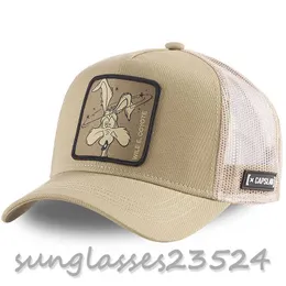 Вторая партия Новая марка аниме -кролик Looney Taz Duck Snapback Cap Cotton Baseball Cap Men Женщины хип -хоп папа сетка сетка