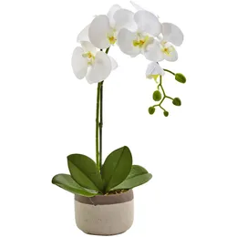 19 White Phalaenopsis Orchid Artificial Plant in Ceramic Pot