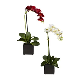 Orchidea phaleanopsis con composizione di seta in vaso nero - Set di 2 - Rosso bianco