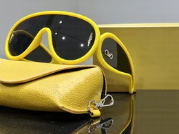 المصمم الفاخر نظارة شمسية العلامة التجارية العلامة التجارية الكبرى النظارات الشمسية للنساء للجنسين يسافرون
