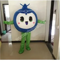 Ny tecknad söt Blueberry Mascot Costumes Halloween Christmas Event Rollspelande kostymer Rollspel klänning päls set kostym