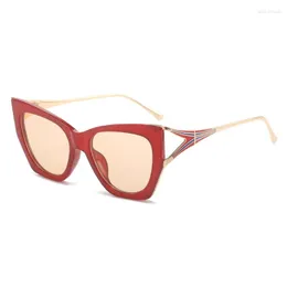 Солнцезащитные очки сексуальные дамы кошачьи глаза женщины для женских модных дизайнерских солнечных очков модные винтажные панк -оттенки