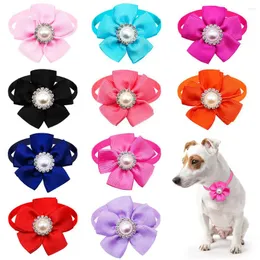 Abbigliamento per cani 50 pezzi Collana con papillon piccolo all'ingrosso con collare regolabile per toelettatura di strass di perle per forniture