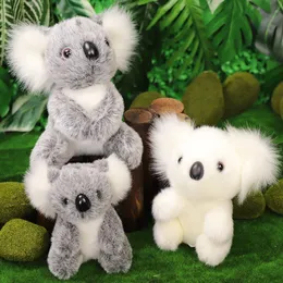 Super söt simulering koala plysch docka koala teddy zoo souvenir barn dag gåva
