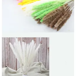 Flores decorativas 15 Pçs Flor Seca Pequena Reed Eternal Pampas Grama Centros de Casamento Para Mesas Presente Namorada