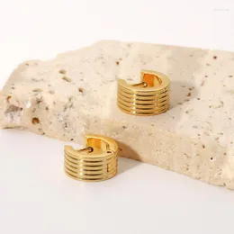 Kolczyki obręcze Allme punk pasiaste geometryczne grube dla kobiet unisex 18K Gold Stated Stal Earring Party Biżuteria