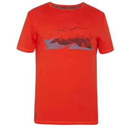 Erkek Tshirts Mannen Merino Wol Tshirt 100 Base Katman Tee Sesli 160 Gram Wicking Ademend Antigeur Euro MAAT XL 230807