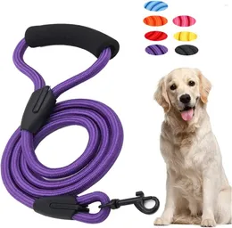 犬の襟、中程度の中サイズの屋外ウォーキングチェーンタフネスハンドロープのためのシンプルなリーシュ