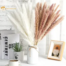 Decorative Flowers Wreaths 15Pcs Fluffy Pampas Natural Pampa Grass Dried Flowers Real Reed Small Bulrush Bouquets Boho Home Wedding Decoration Phragmites 230808