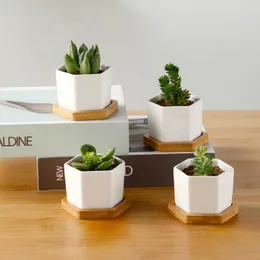 Planters Pots Pot Bunga Segi Dengan Duudukan Bambu Pot Tanaman Sukulen Putih Pot Bunga Bonsai Pot Kantor Rumah