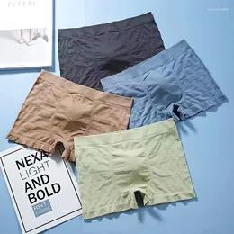 Underpants 4pcs Sport