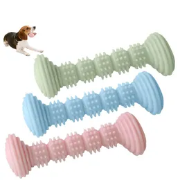 새로운 TPR 치아 내성 대화식 개 장난감 애완 동물 장난감 개 개 씹기 씹기 개 칫솔 씹는 장난감 2 개 조각 당 2 조각