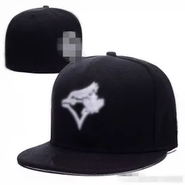 Hot Blue-jays_ Berretti da baseball Uomo Donna Cappello Hip Hop Bones Aba Reta Gorras Rap Cappelli aderenti H5-8.9