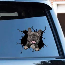 ملصقات نافذة الكلب الكراك كراك ملصق الإبداع نوافذ المنزل ملصقات الجدار ملصقات الجدار pitbull dachshund بولدوغ الكراك ملصقات الثلاجة R230810