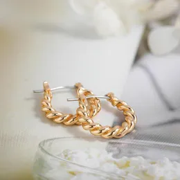 Hoop Earrings Creative Gold Plate Metal Twisted For Women Girl Trendy Circle Earring Statement Jewelry Gift