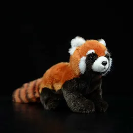 Ny 1 st 23 cm realistisk leksaksröd panda björn katt livliga mjuka leksaker plyscha mindre panda docka för barn gåvor t230810