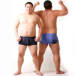 Underpants Arrival! Bear Claw Plus Size Men's Net Boxers Sexy Shorts Gay Breathable Underwear Navy/Blue/Pink M L XL XXL