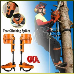 Rock Protection Thickened Tree Climbing Spikes Pole Mountaineering Equipment Tree Climbing Gear Non-skid Pedal Spikes Spurs Trees Climb Climbers HKD230810