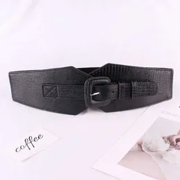 Belts Waist seal ladies corset with snake pattern decoration pin buckle fashion wild retro elastic wide belt QZ0087
