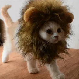 Kedi Kostümleri Emülasyon Aslan Saç Mane Pet Cosplay Cat Dog Giyin Kostüm Peruk Kulakları KAPAK KAPAK KIŞ KICACI PET ÜRÜNLERİ Aksesuarlar 230810