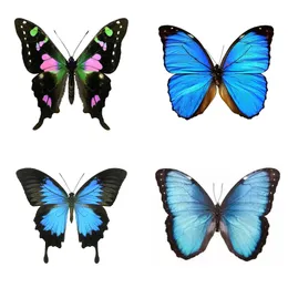 装飾的なオブジェクトの置物41本物の蝶の標本装飾手作りの昆虫標本装飾学生クリエイティブバースデー装飾230810