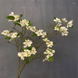 الزهور الزخرفية النباتات الاصطناعية