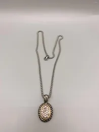 Подвесные ожерелья Le Han Ювелирные изделия резные цепные шейки 18 тыс. Золото покрыто прозрачной кубической цирконии