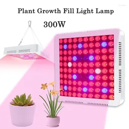 Grow Lights 300W Plant Growth Fill Light Lamp Square Panel Vegetable Succulent Seedling Cultivation Greenhouse