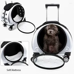 CAT NOVERRIES MULTO-FINTYCZNY Rozszerzalny wózek wózek wózek pies pachowy plecak bagażowy z 4 kółkami