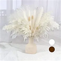 Decorative Flowers Dry Flower White Pampa Decorations Natural Gras Boho Home Decor Farmhouse Rustic Plants For Wedding
