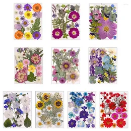 Decorative Flowers 1 Bag Dried Diy Pressed Stickers For Phone Case Jewelry Making Crafts Nail Art Decor