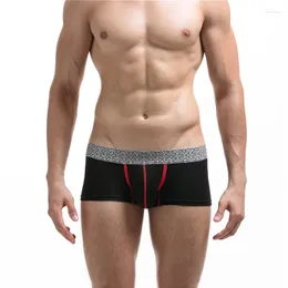 Cueca cueca de algodão masculino seobe