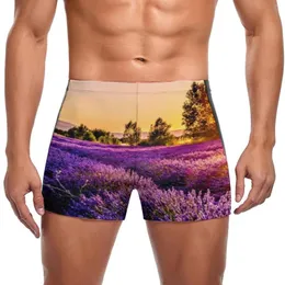 Men's Swimwear Lavender Field Swimming Trunks Nature Art Print Durable Custom Swim Boxers Large Size Beach Man