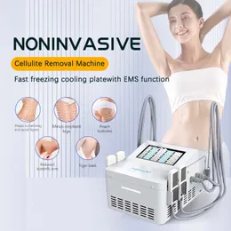 4 Cryo EMS Plates Pads Fat Freezing Body Shaping Cryolipolysis Machine Cryoskin Therapy Cellulite Reduction