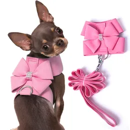 Hundkläder Liten sele med blyuppsättning Chihuahua Yorkshire Princess Girl Pink Pet Walking Collar For Valp Cat Accessories 230814