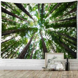 Wandteppiche Tree Top Sky Forest Wandteppich Wand hängen Naturpflanze Landschaft Kunstzimmer