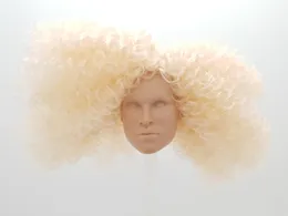 Bambole Fashion Royalty Color Infusion Curly Hair Reroot Fr White Skin 16 Scale Integrity Male Nigel North Doll Head 230815