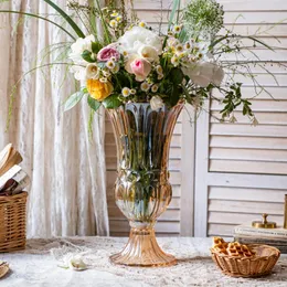 Vasos transparentes de grande estilo europeu Arranjo de flores seco piso hidropônico Pote de estar decoração de obras de arte