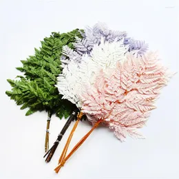 Decorative Flowers 10pcs Natural Plant Preserved Flower Dried Fern Leaf Sawtooth Alpine Tooth Wedding Decoration Room Artificial