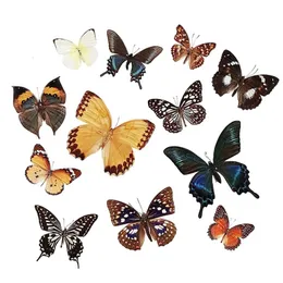 Dekorativa föremål Figurer 12st Taxidermy Butterfly Unmontered Butterfly Provsamling av riktiga fjärilar 230815