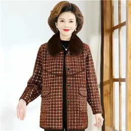 Women's Fur Mom Winter Coat är fashionabla utländska medelålders kvinnor Autumn Down One Old People Imitation Mink