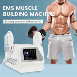 Profissão EMS Slimming Body Sculpting Build Muscle 2 Handles Burn Body Body Slimming Burn Fort Wit Weight Skin Thalding Cellulite Reduction Machine