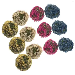 Dekorative Blumen 12 PCs Pflanzer getrocknete Kugeln trocken kleiner Mikrolandschaft Vase Requisiten