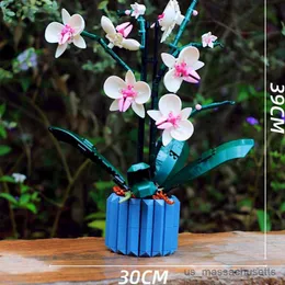 Bloklar MOC Buket Orkide Blok Çiçek Çiçek Gül Fabrikası Saksı Yapı Blokları 10311 Romantik Kit Meclis Binası Oyuncak Kız Hediye R230817