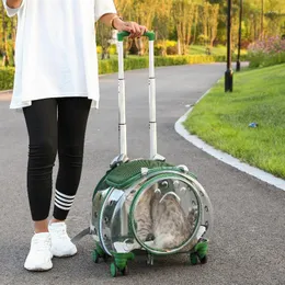 Cat Carriers Transportin Transporters Outdoor Hamsters Stroller Travel Bolso Para Mascotas Pets Accessories