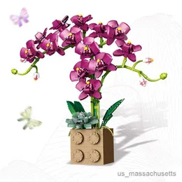 Blocks DIYビルディングブロック蘭のPhalaenopsis Bouquet Potted Creative Immortal Flower Model Decor Decor Children's Building Toy Holidy Gift R230817