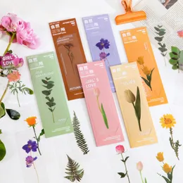 5pcs/Pack Flower Leaves Series Series for Books PVC Book Mark Mark Marker Kawaii Stationery Student Schools