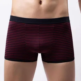 Underpants da uomo Sfini boxer mutande sexy mutandine sacca di rigonfiamento in lingerie a strisce di assorbimento di umidità traspirante boxer